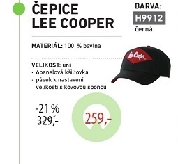 čepice