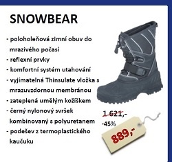 Snowbear